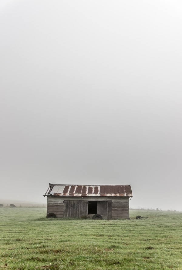 Wishful Thinking - Kangaroo Valley