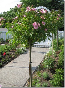 067_thumb1