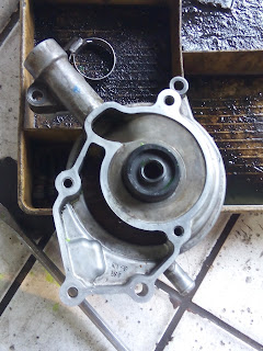 Cara Ganti Seal Waterpump Yamaha Vixion