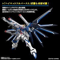 Bandai HG 1/144 RISING FREEDOM GUNDAM Color Guide & Paint Conversion Chart