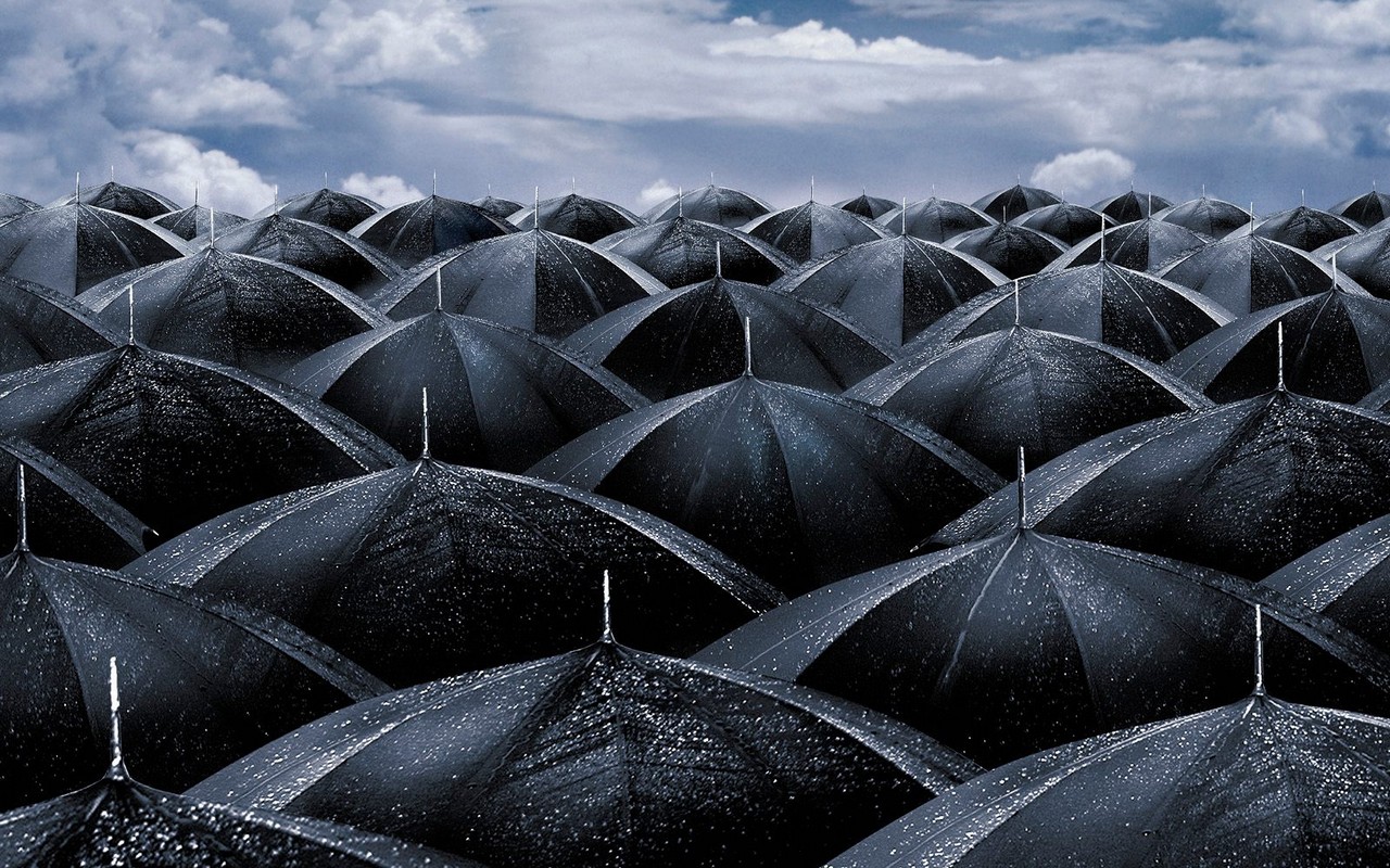 Black Umbrellas Wallpapers