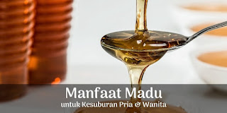 Manfaat madu untuk kesuburan