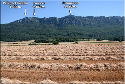 Vistas de la Sierra desde la carretera de Pipaon-Lagran en un despejado día de verano