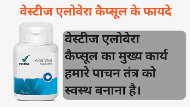 Vestige Aloe Vera Capsules Benefits in hindi | वेस्टीज एलोवेरा कैप्सूल के क्या फायदे