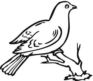 animal coloring pages, bird coloring pages 