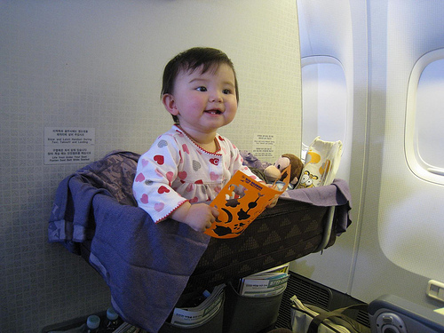 Bassinet In Airplane3