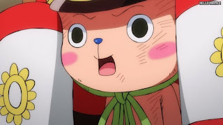 ワンピースアニメ 1039話 チョッパー ランブルボール 副作用 Tony Tony Chopper | ONE PIECE Episode 1039