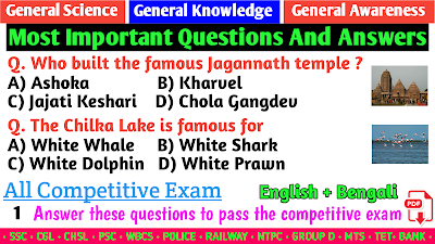 Basic General Knowledge Questions