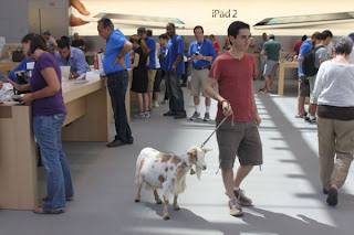 Mark Malkoff Walking with a Goat