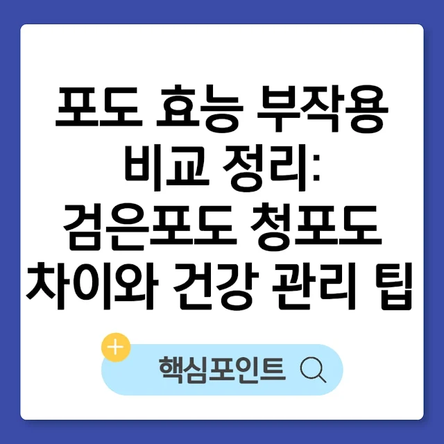 포도 효능 부작용 비교 정리: 검은포도 청포도 차이와 건강 관리 팁 썸네일