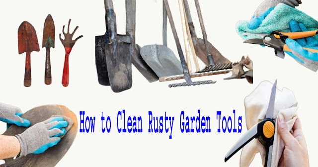 How to Clean Rusty Garden Tools