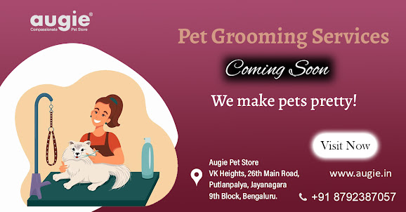 Gog grooming services near me