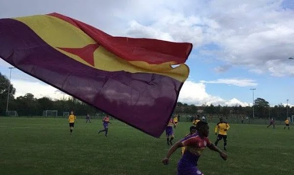 La tricolor española y las gradas del fútbol