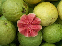 guava - la goyave - Psidium guajava