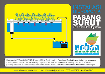 urban hidroponik, jasa hidroponik, pelatihan hidroponik