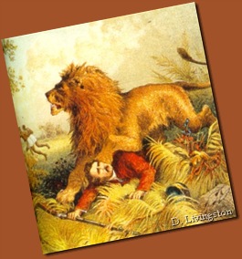 c2-livingstonelion