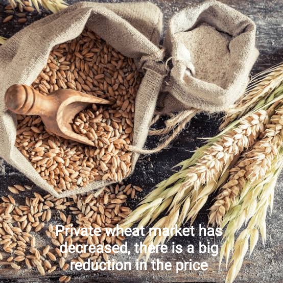 Private wheat market has decreased, there is a big reduction in the price