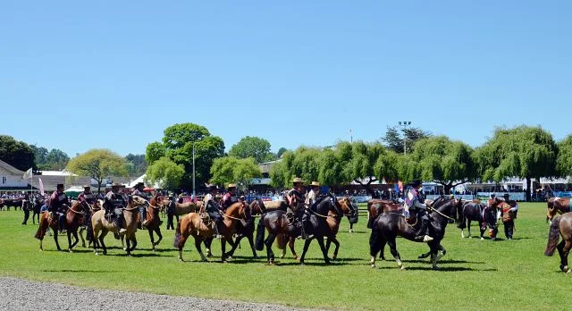 Osorno - Coronavirus: Suspensión SAGOFisur 2020 😷🇨🇱