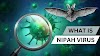 Increasin Fast New Nipah Virus preventing Tips Just Like Coronavirus Disease in the World