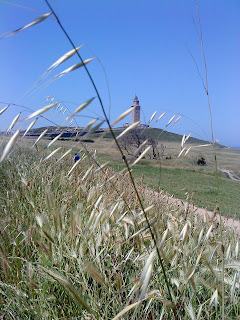 Flower and Tower   Sprint in Tower of Hercules (Corunna, Spain)   by E.V.Pita   http://evpita.blogspot.com/2011/05/flower-and-tower-flores-torre-de.html   Flores + Torre de Hércules  (Primavera en Torre de Hércules, A Coruña)  por E.V.Pita