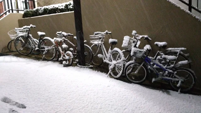 2018年1月11日長崎で雪！！