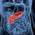 Pancreatite - Causas e sintomas de pancreatite