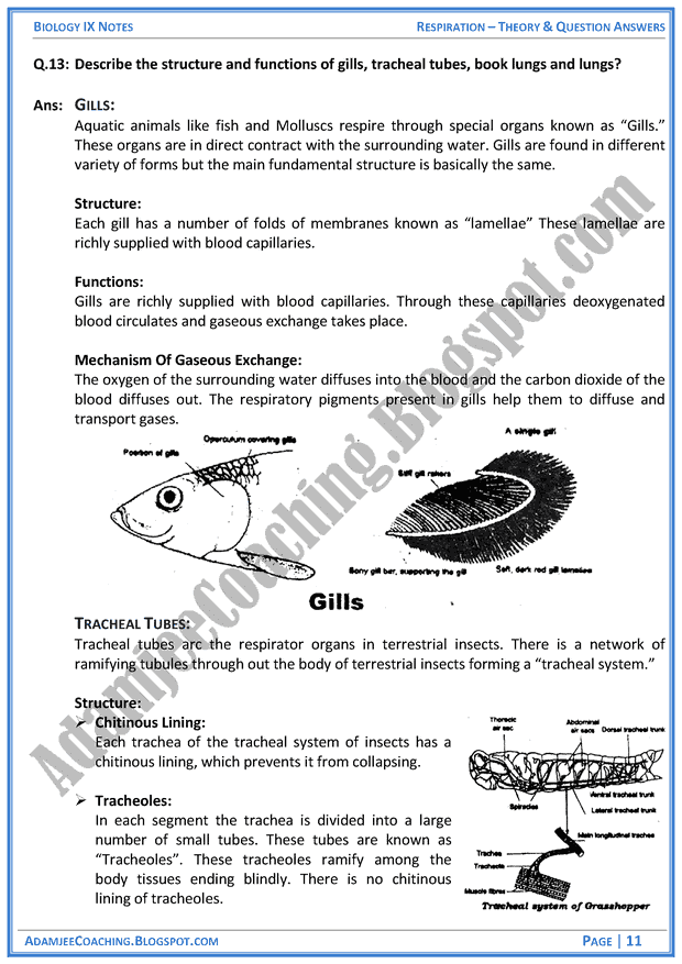 respiration-theory-notes-and-question-answers-biology-notes-for-class-9th