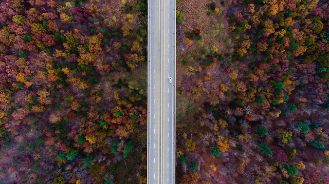 colorful, autumn wood, bridge road, desktop, wallpaper, screensaver, backgrounds, nature, trees, top-view