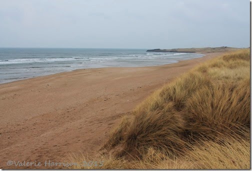 5-Aberlady-Bay
