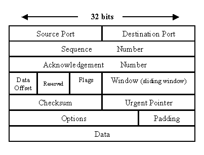 of diagram udp datagram format Java Network between Interview and TCP UDP Protocol Difference of diagram udp datagram format Java Network between Interview and TCP UDP Protocol Difference