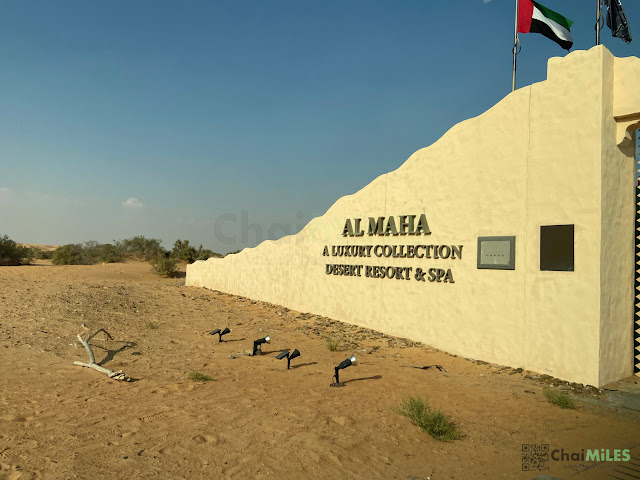 Al Maha, a Luxury Collection Desert Resort and Spa Dubai