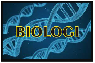 Ilmu biologi mempelajari tentang apa?