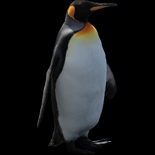 google penguin