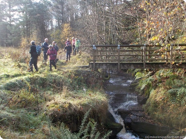 deborah wood footbridge