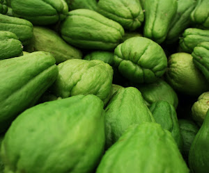 Los Perros Pueden Comer Chayote: ¿Es Bueno Para Su Salud?