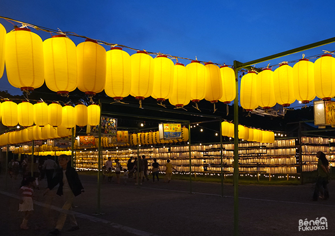 Festival des lanternes Mitama Matsuri, sanctuaire Gokoku, Fukuoka