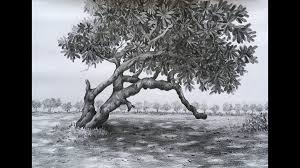 Best Nature Pencil Sketch Drawings