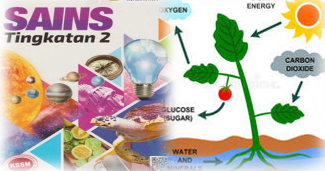 Jawapan Buku Teks Sains Tingkatan 2 Download Online 