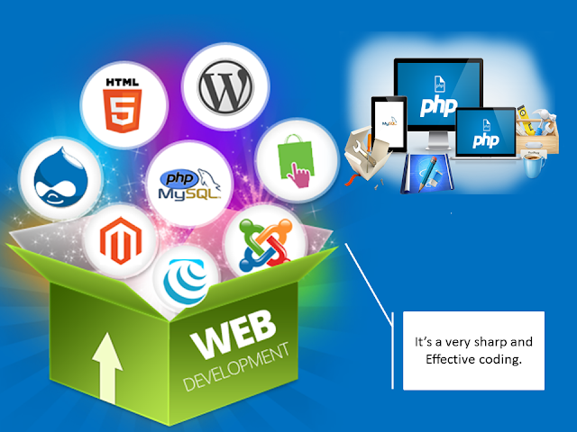 Best Web Development Platforms