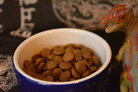 dog food and dinosaurs