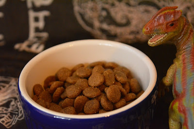 dog food and dinosaurs