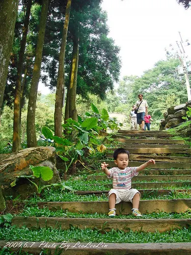 熊空休閒農場茶園森林浴芬多精