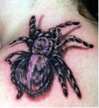 arm with spider 3D tattoo picture