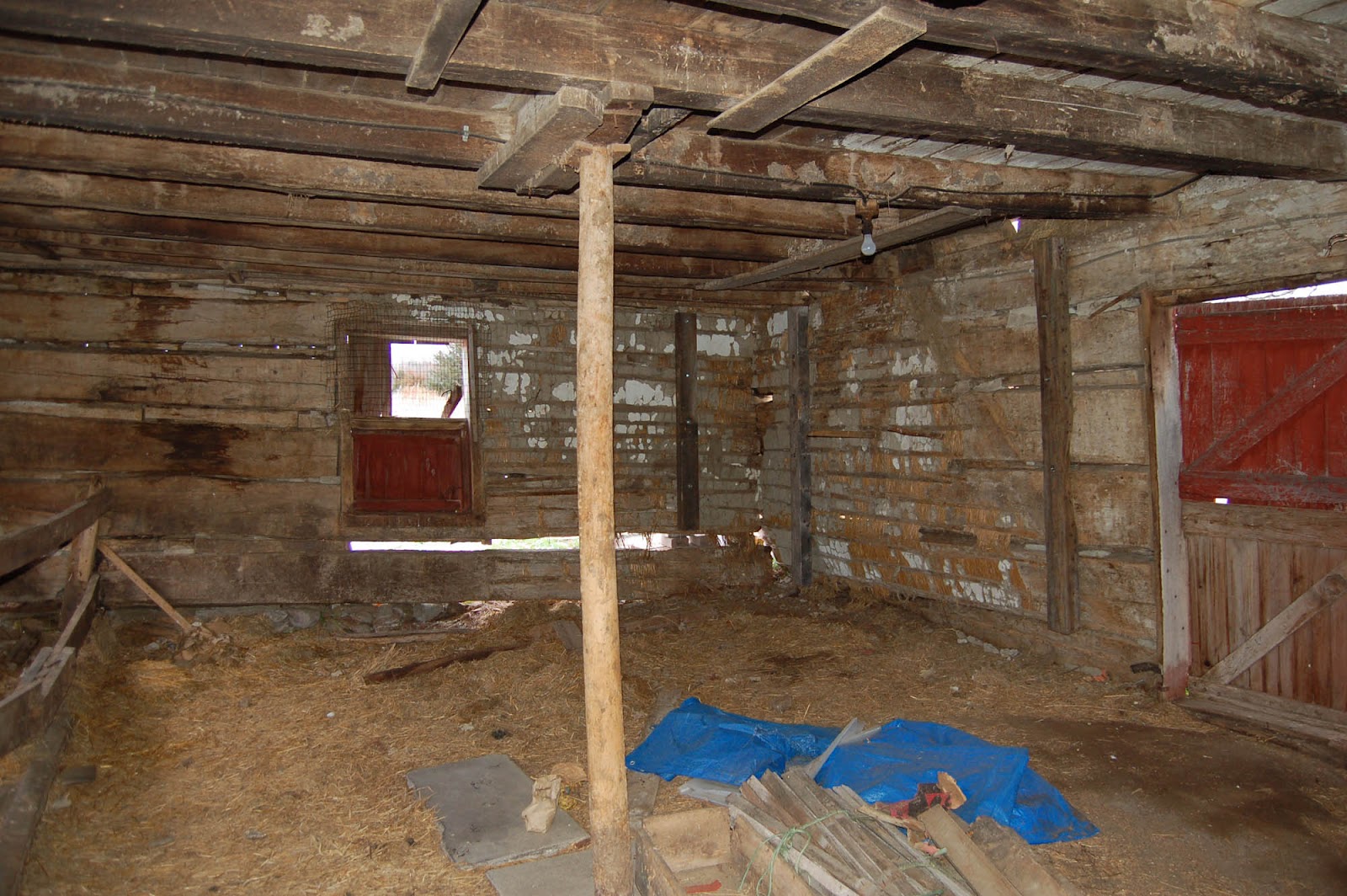 Cabin interior walls
