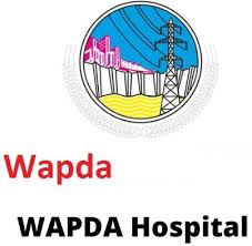 WAPDA Hospital Hyderabad Job