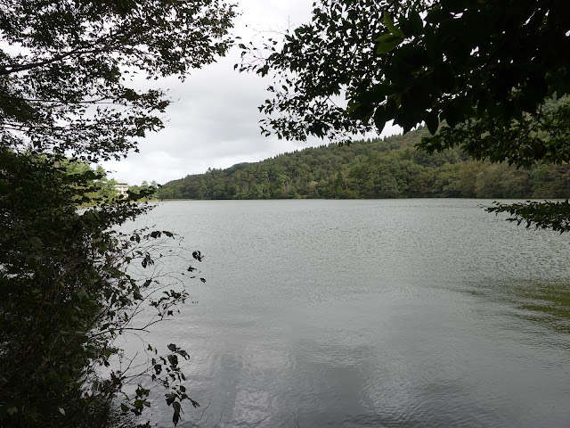 大野池の遊歩道