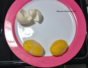 frozen double yolk eggs