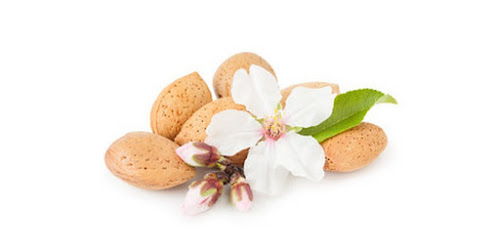 KACANG ALMOND HARGA<br/>Boroko<br/>