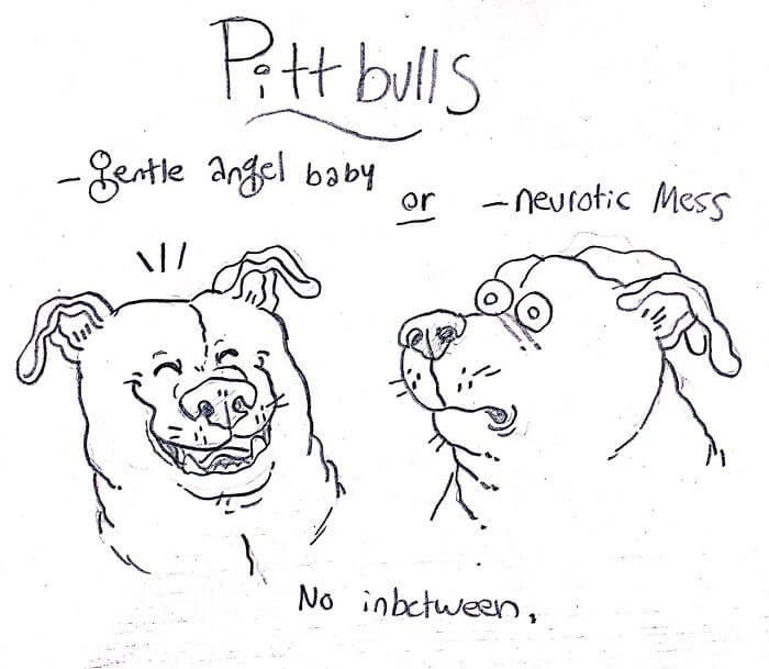 Funny Comic Series That Will Help You Identify Most Dog Breeds