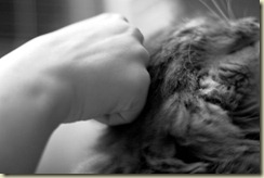 JB_20090618_0055